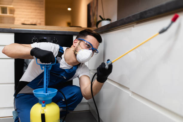 Professional Pest Control in Horton, KS