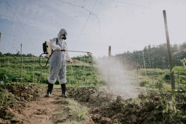 Best Best Pest Control Companies  in Horton, KS