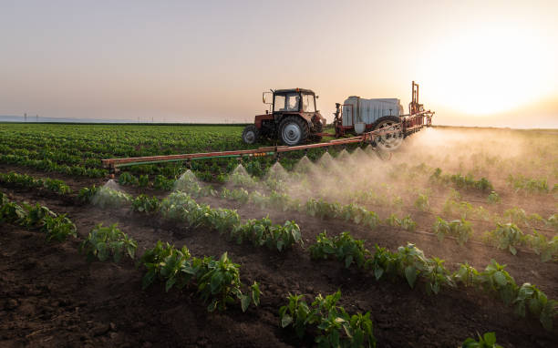 Best Best Pest Control Companies  in Horton, KS