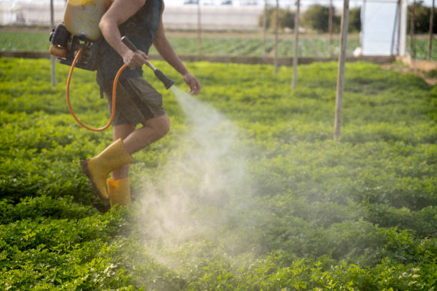 Trusted Horton, KS Pest Control Experts