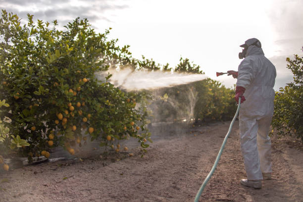 Best Pest Control Near Me in Horton, KS
