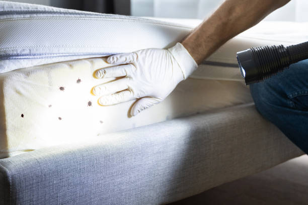 Best Bed Bug Extermination  in Horton, KS