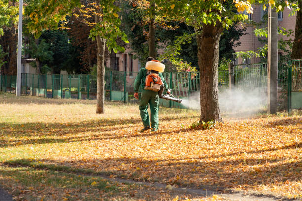 Best Termite Control Services  in Horton, KS