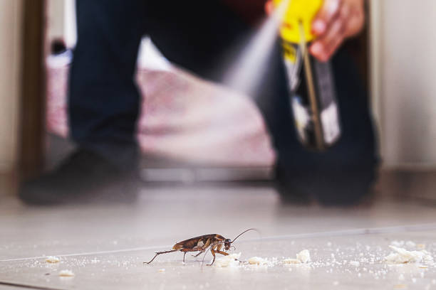 Best Rat Extermination Near Me  in Horton, KS