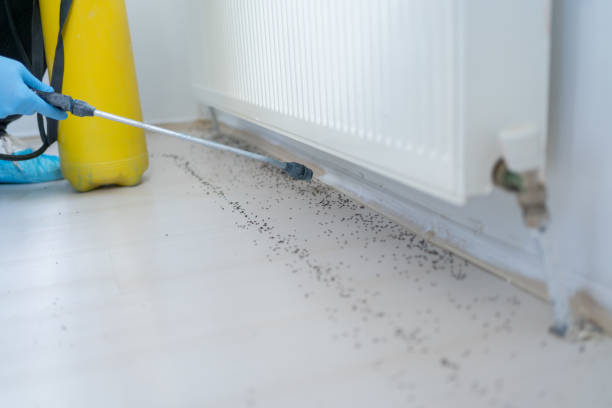 Best Pest Control Near Me  in Horton, KS