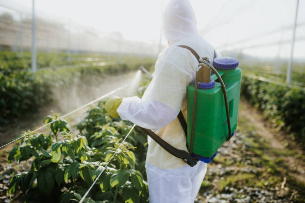 Best Wildlife Control Services  in Horton, KS